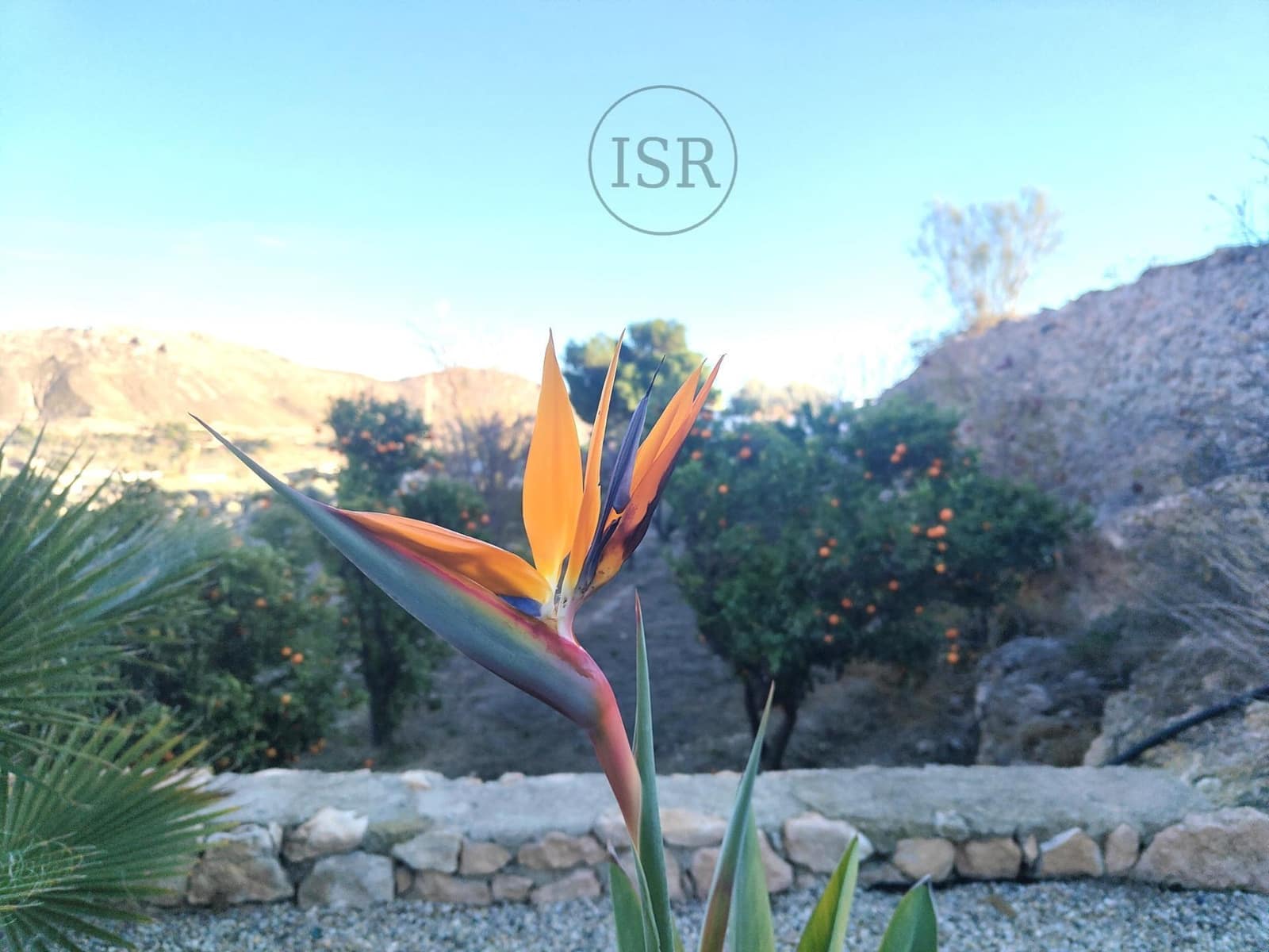 5 soverom Villa til salgs i Nijar med svømmebasseng garasje - € 569 000 (Ref: 8012899)