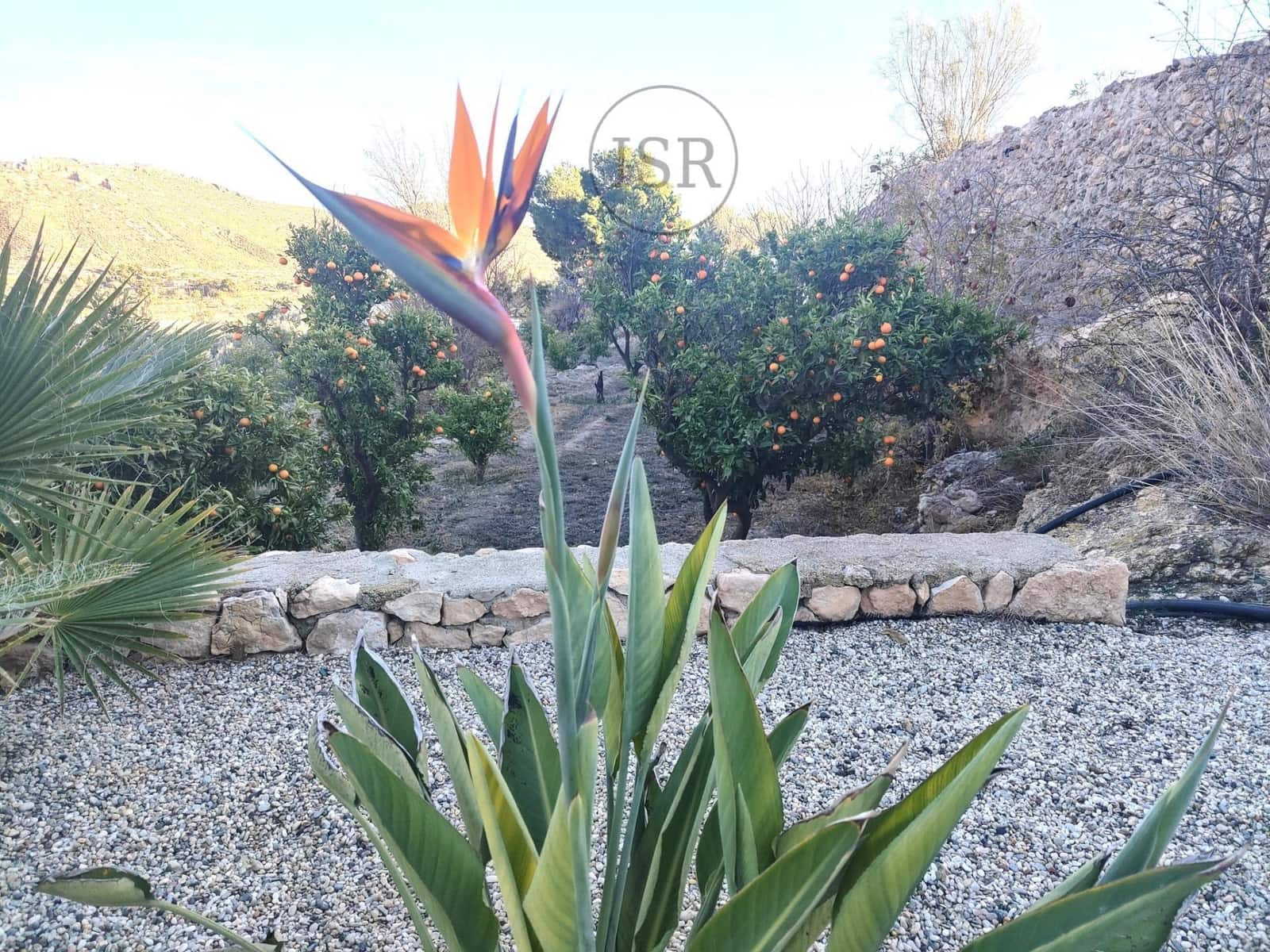 5 soverom Villa til salgs i Nijar med svømmebasseng garasje - € 569 000 (Ref: 8012899)