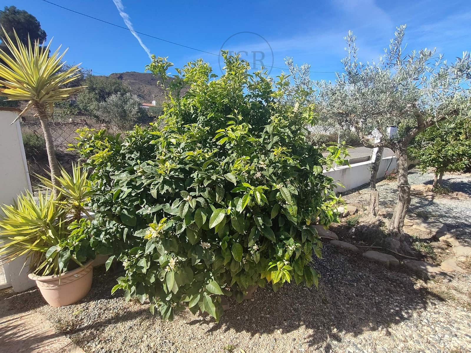 6 soveværelse Finca/Landehus til salg i Sorbas med swimmingpool garage - € 197.000 (Ref: 8199495)