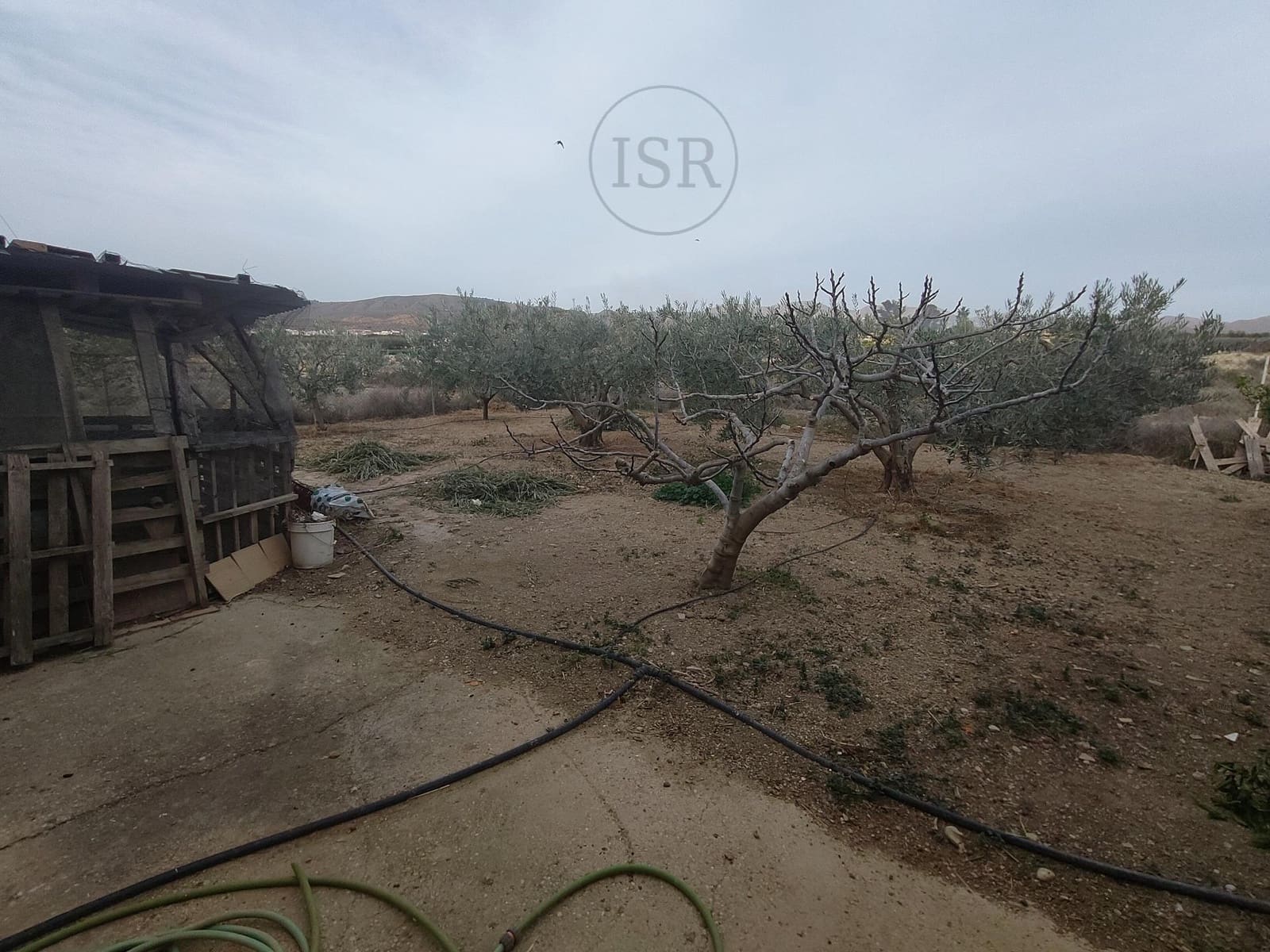 1 soveværelse Finca/Landehus til salg i Los Gallardos - € 75.000 (Ref: 8778790)