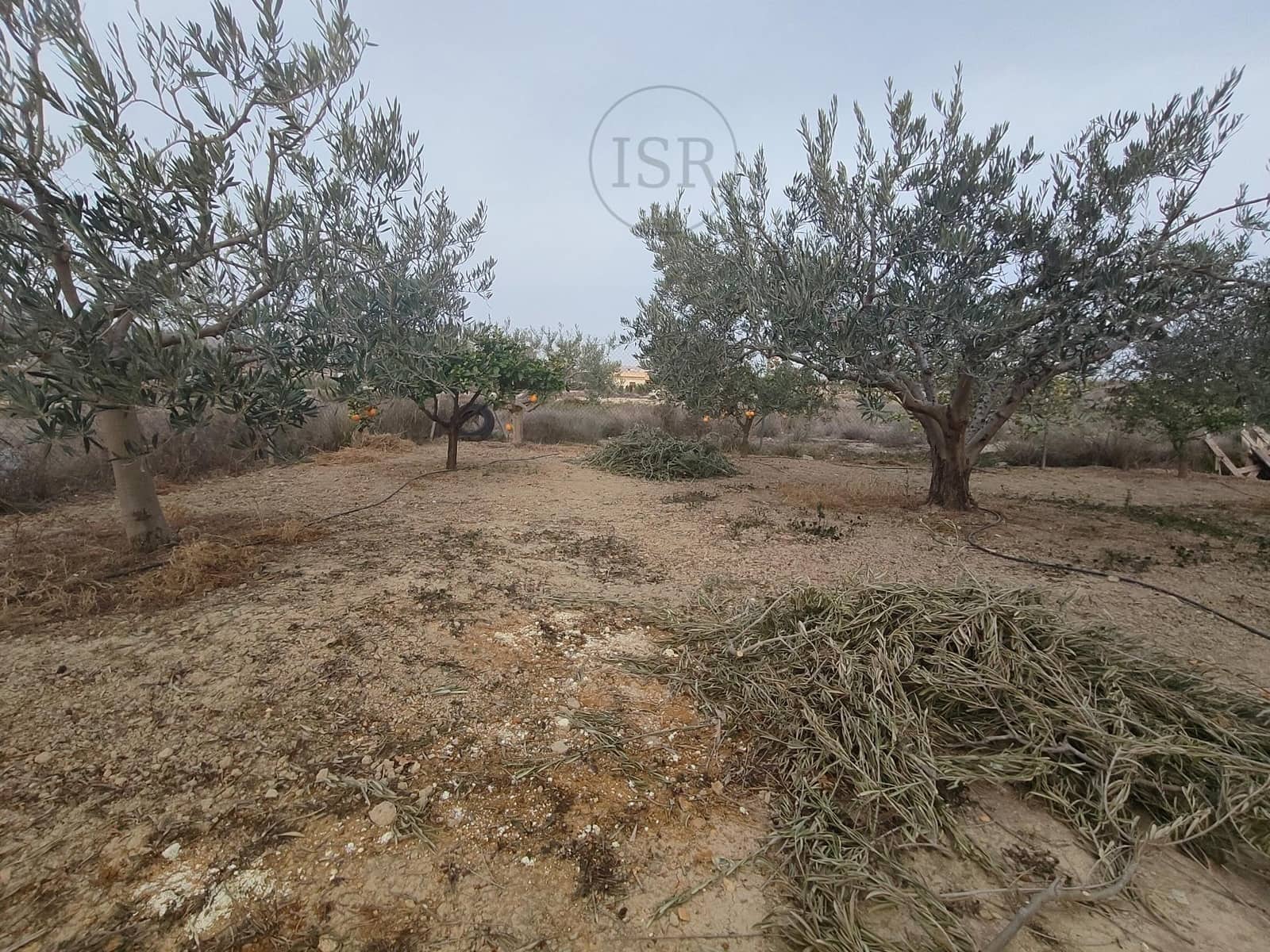 1 soveværelse Finca/Landehus til salg i Los Gallardos - € 75.000 (Ref: 8778790)