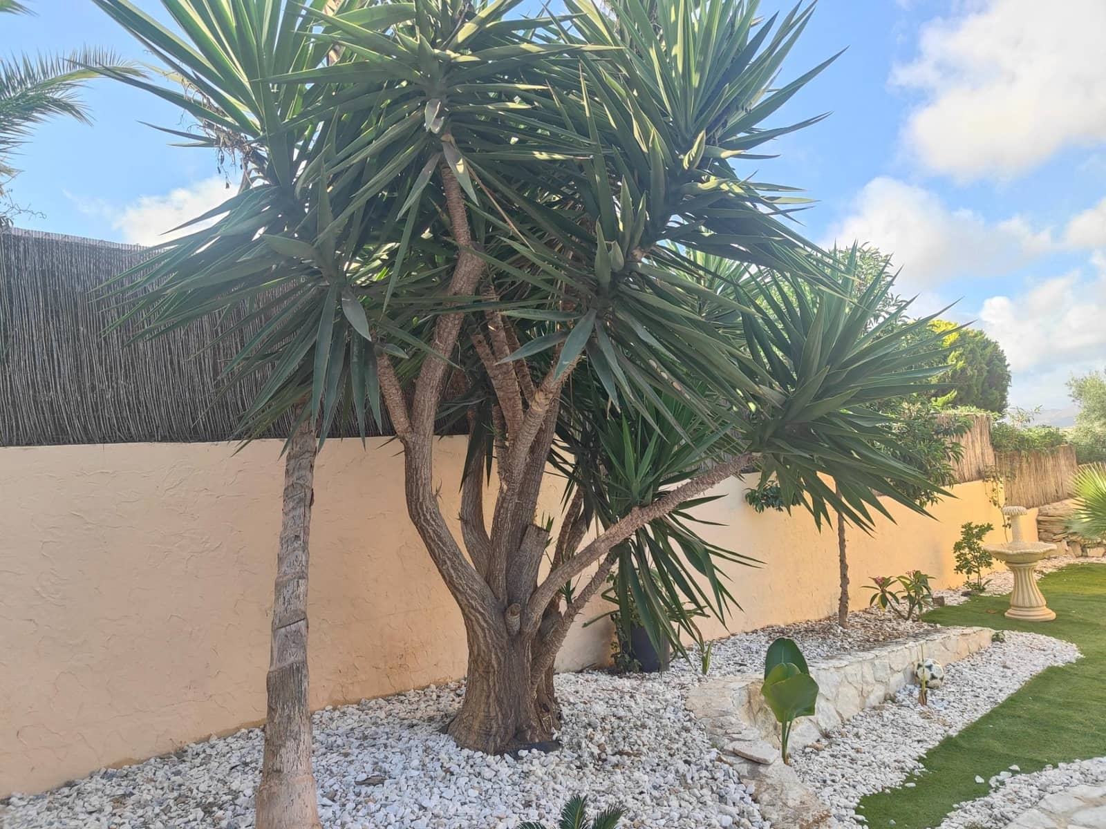 6 bedroom Villa for sale in Vera with pool - € 379,500 (Ref: 9114237)