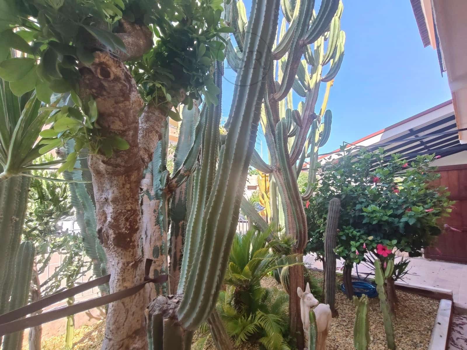 8 soveværelse Rækkehus til salg i San Juan de los Terreros med garage - € 250.000 (Ref: 9165843)