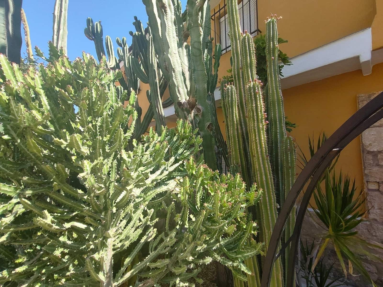 8 soveværelse Rækkehus til salg i San Juan de los Terreros med garage - € 250.000 (Ref: 9165843)