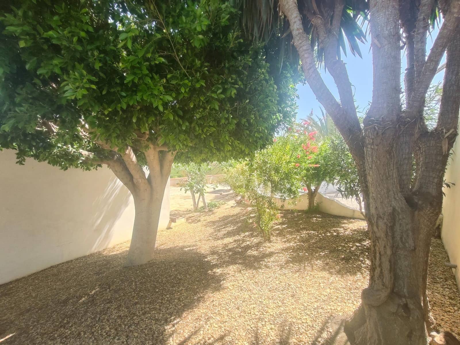 3 bedroom Villa for sale in El Real with garage - € 625,000 (Ref: 9865259)