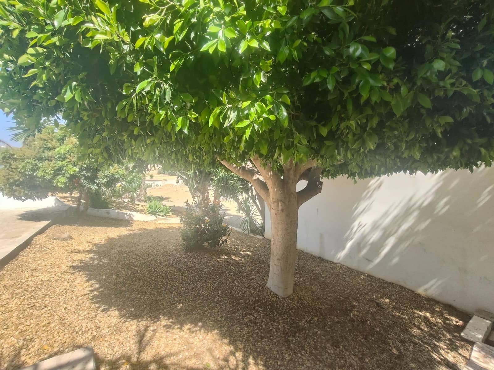 3 bedroom Villa for sale in El Real with garage - € 625,000 (Ref: 9865259)