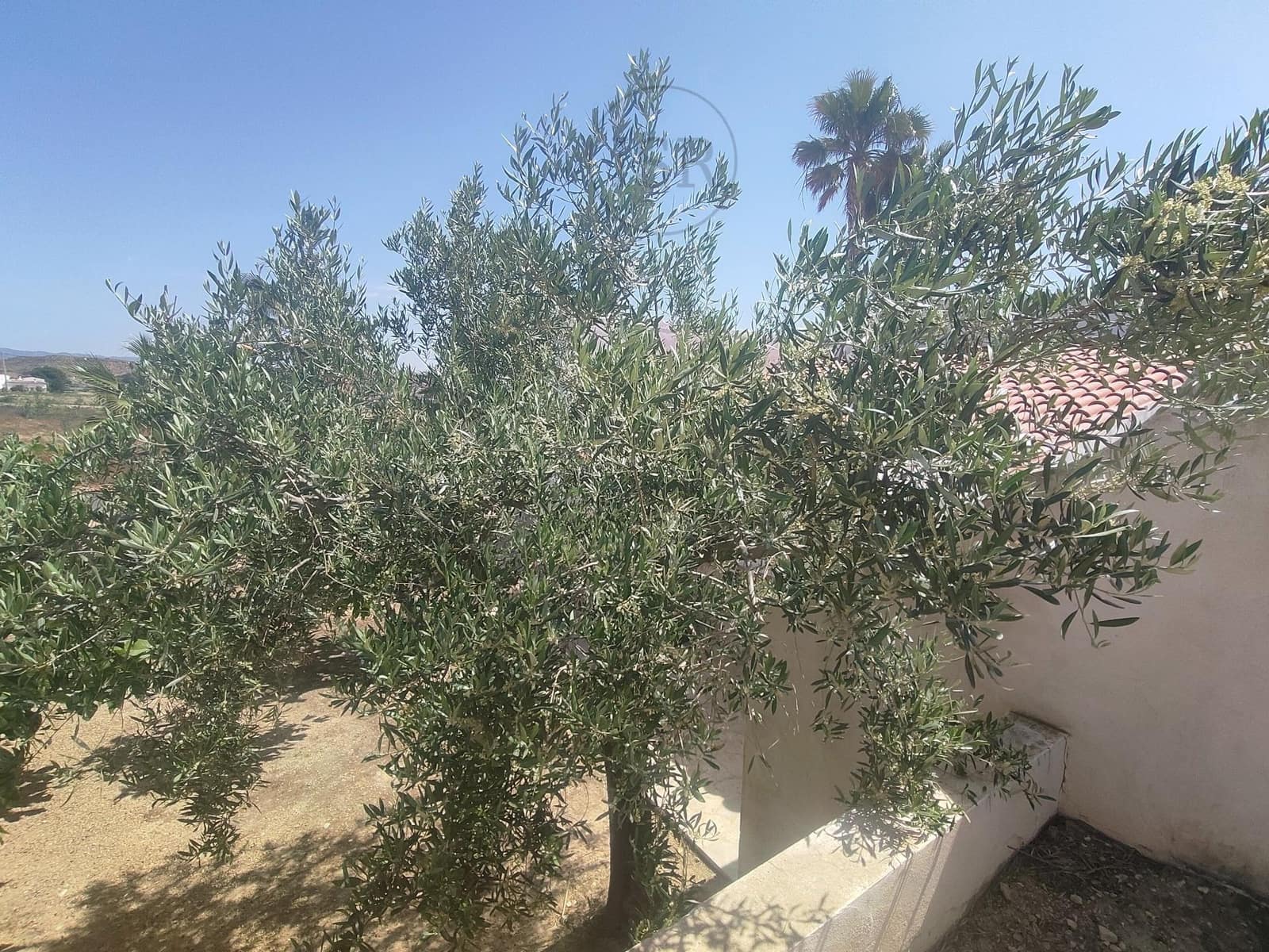 3 bedroom Villa for sale in El Real with garage - € 625,000 (Ref: 9865259)