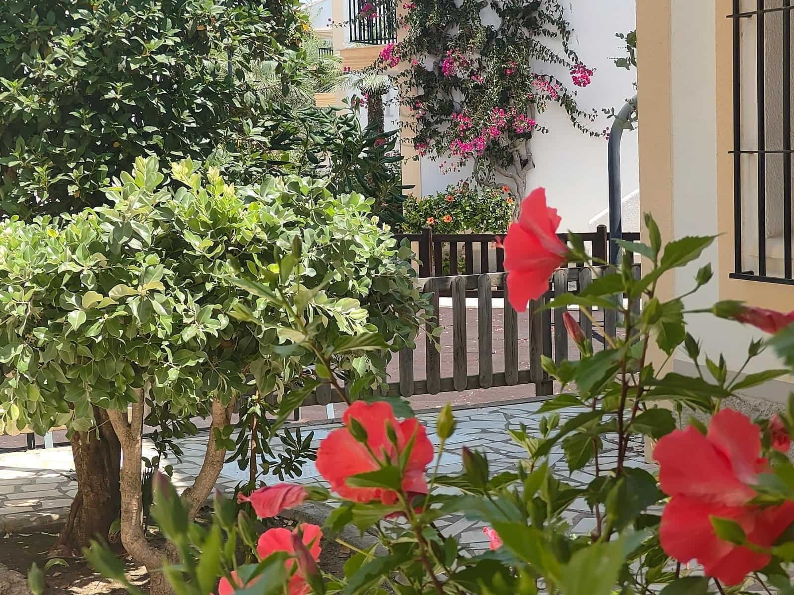 1 bedroom Apartment for sale in Vera with pool - € 149,000 (Ref: 9936464)