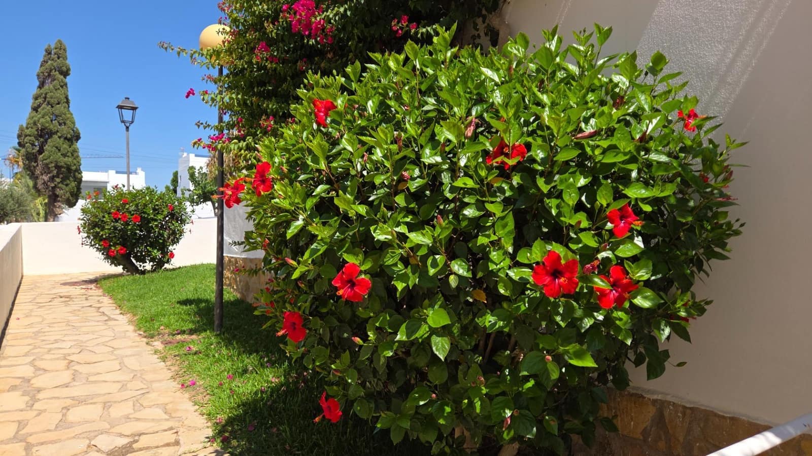 3 bedroom Apartment for sale in Mojacar with pool garage - € 349,000 (Ref: 9949860)