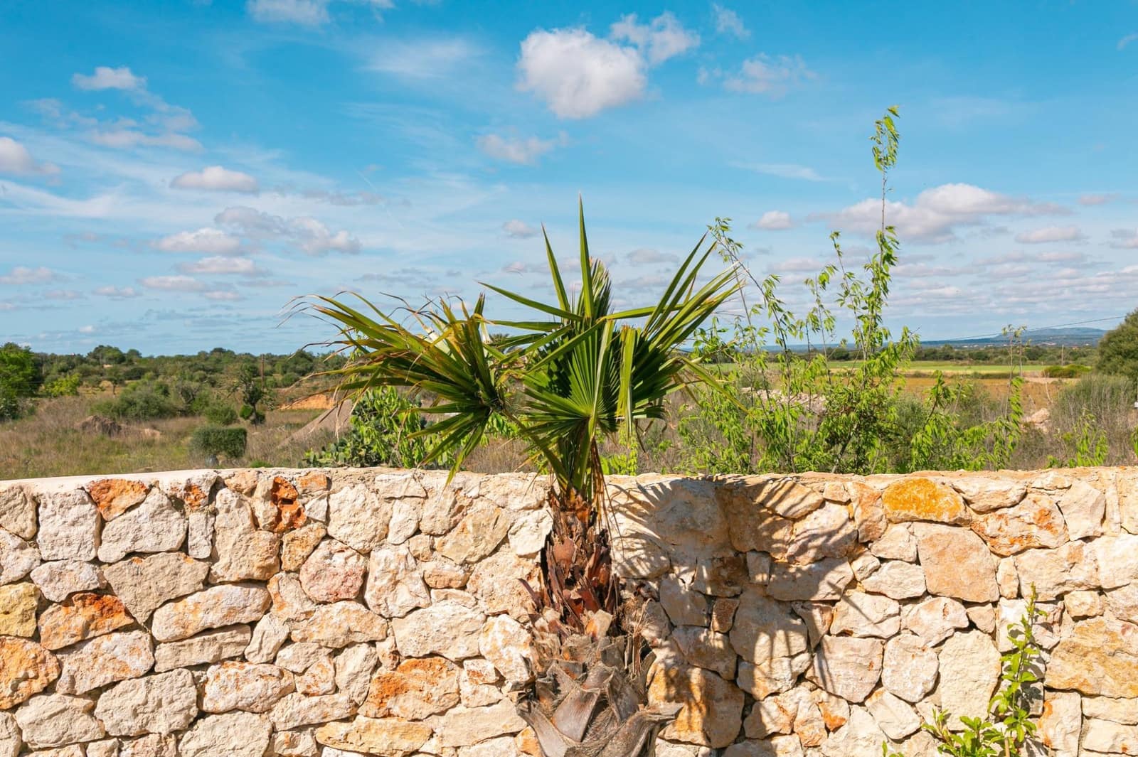 5 soverom Finca/Herregård til salgs i Felanitx med svømmebasseng garasje - € 999 000 (Ref: 8252130)