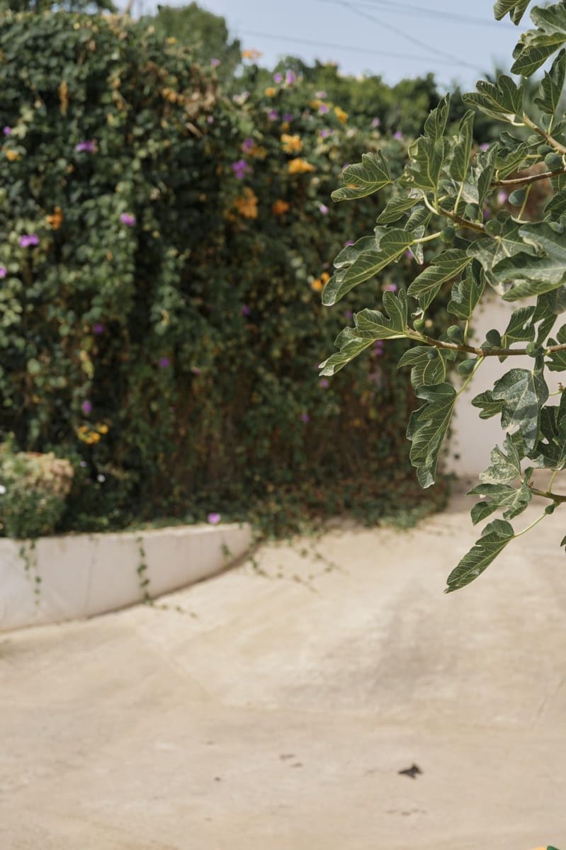 4 soveværelse Villa til salg i Calvia med swimmingpool garage - € 970.000 (Ref: 8436979)