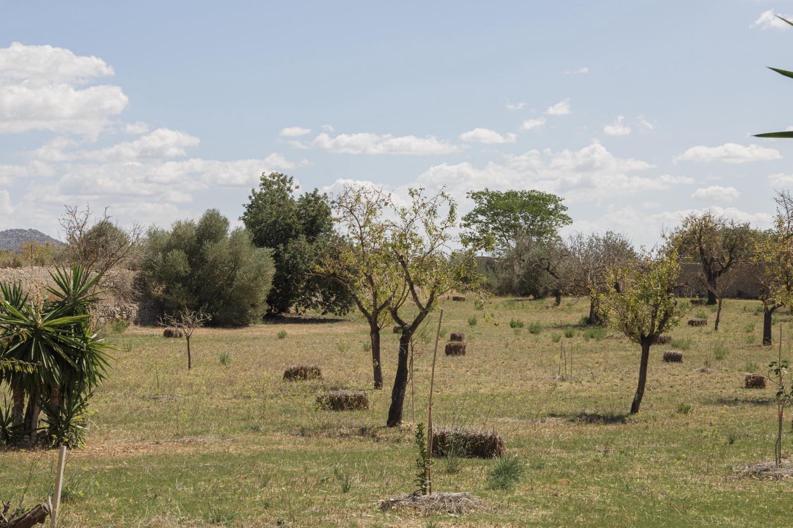 8 camera da letto Finca/Casa di Campagna in vendita in Inca con garage - 699.000 € (Rif: 8538310)