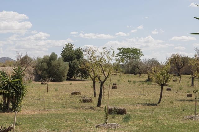 8 camera da letto Finca/Casa di Campagna in vendita in Inca con garage - 699.000 € (Rif: 8538310)