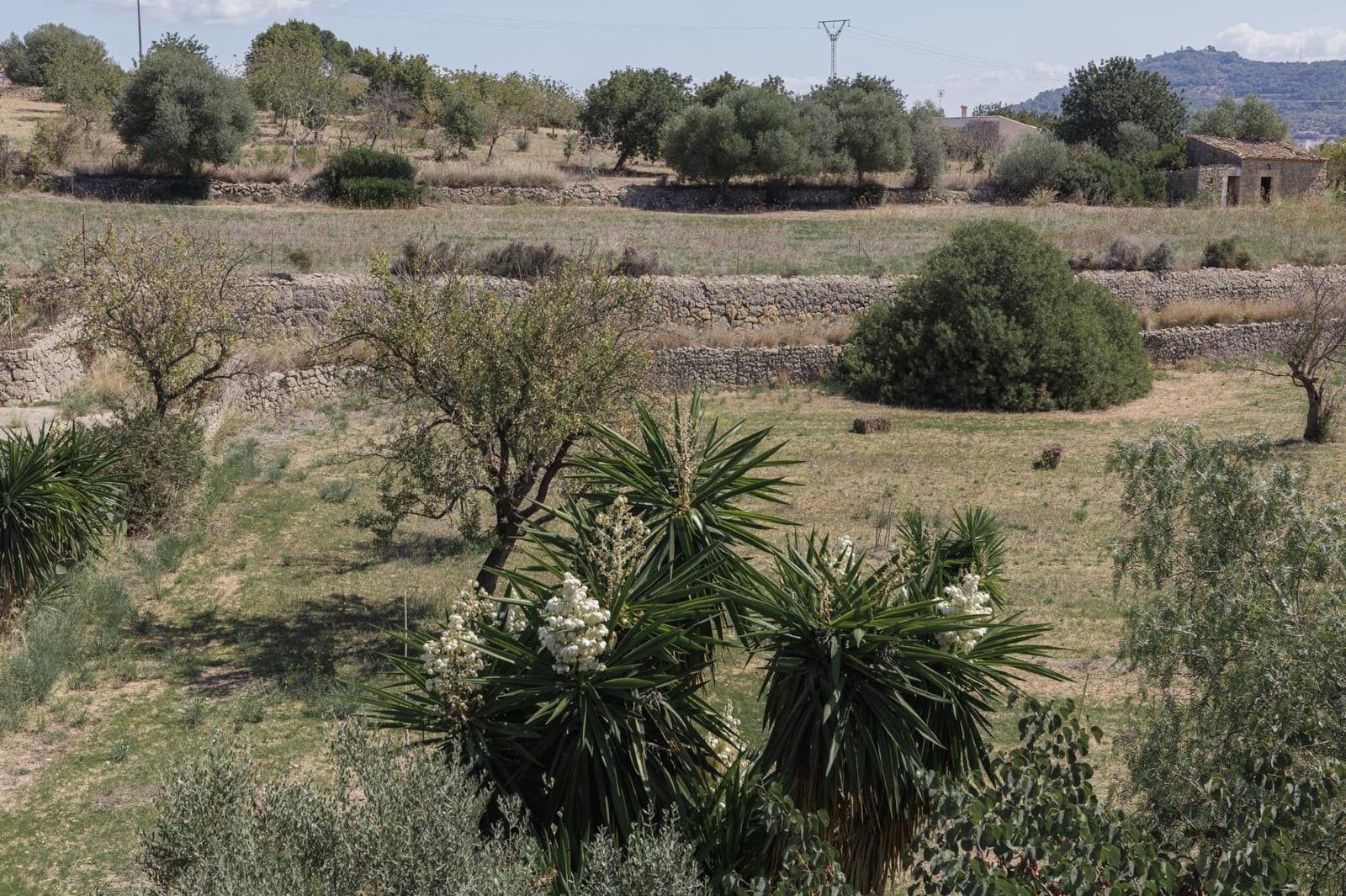 8 camera da letto Finca/Casa di Campagna in vendita in Inca con garage - 699.000 € (Rif: 8538310)