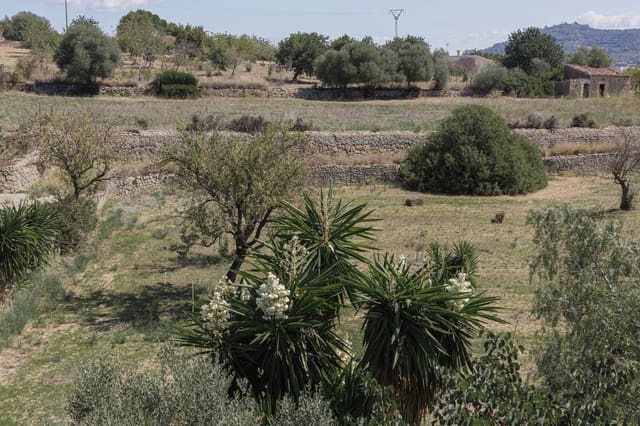 8 camera da letto Finca/Casa di Campagna in vendita in Inca con garage - 699.000 € (Rif: 8538310)