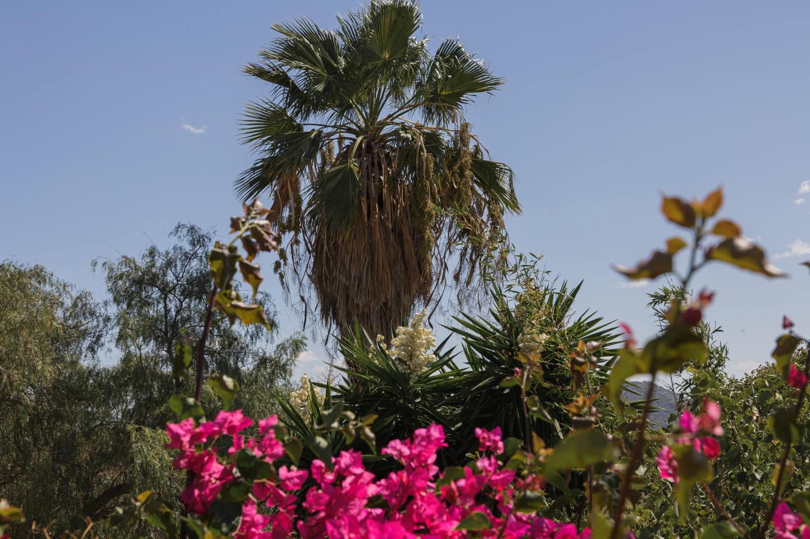 8 camera da letto Finca/Casa di Campagna in vendita in Inca con garage - 699.000 € (Rif: 8538310)