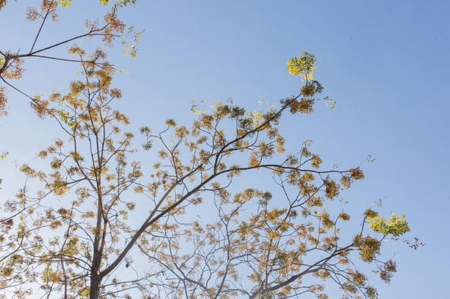 3 soveværelse Lejlighed til salg i Son Espanyol, Palma de Mallorca - € 540.000 (Ref: 8676133)