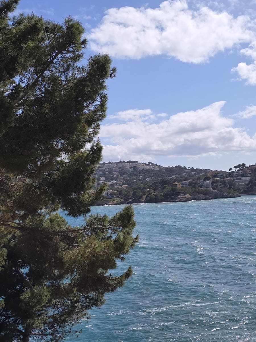 1 soveværelse Studio til salg i Costa de la Calma med swimmingpool - € 215.000 (Ref: 8950704)