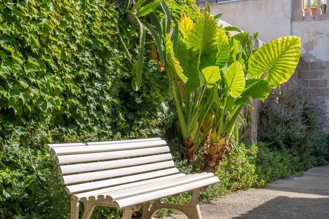2 soveværelse Rækkehus til salg i Palma de Mallorca med garage - € 445.000 (Ref: 9012877)