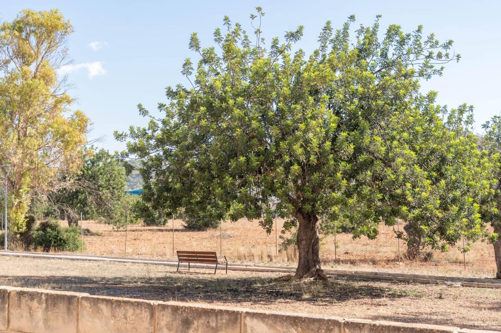 Piso de 3 habitaciones en Santa Ponsa en venta - 360.000 € (Ref: 9282274)