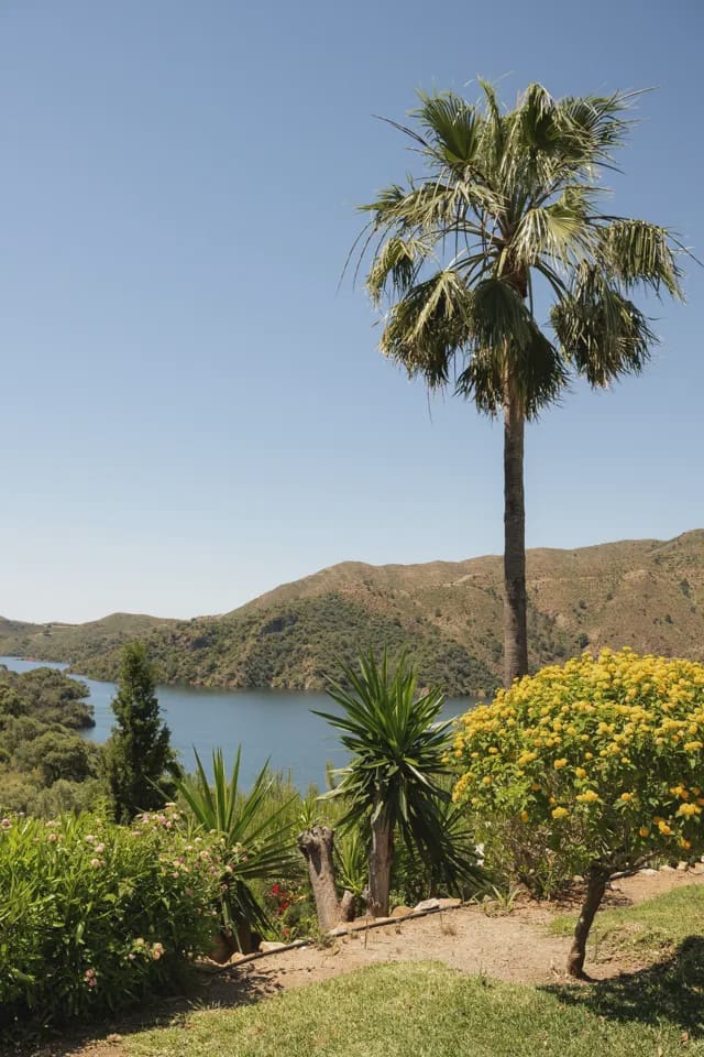 6 bedroom Villa for sale in Istan with pool garage - € 4,995,000 (Ref: 9669368)