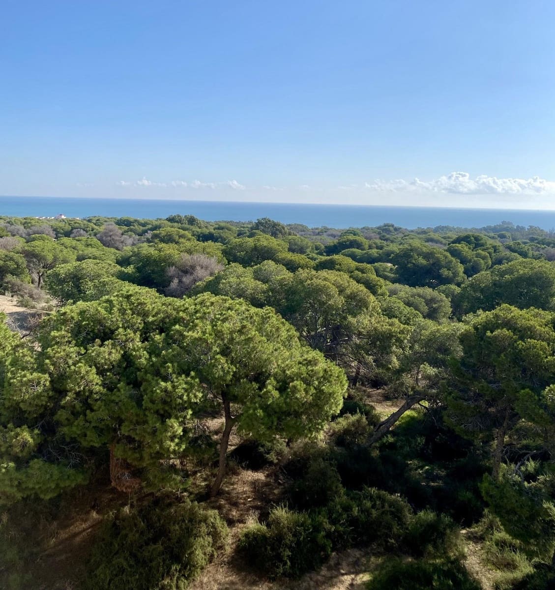 2 soveværelse Lejlighed til salg i Guardamar del Segura - € 349.000 (Ref: 10099805)