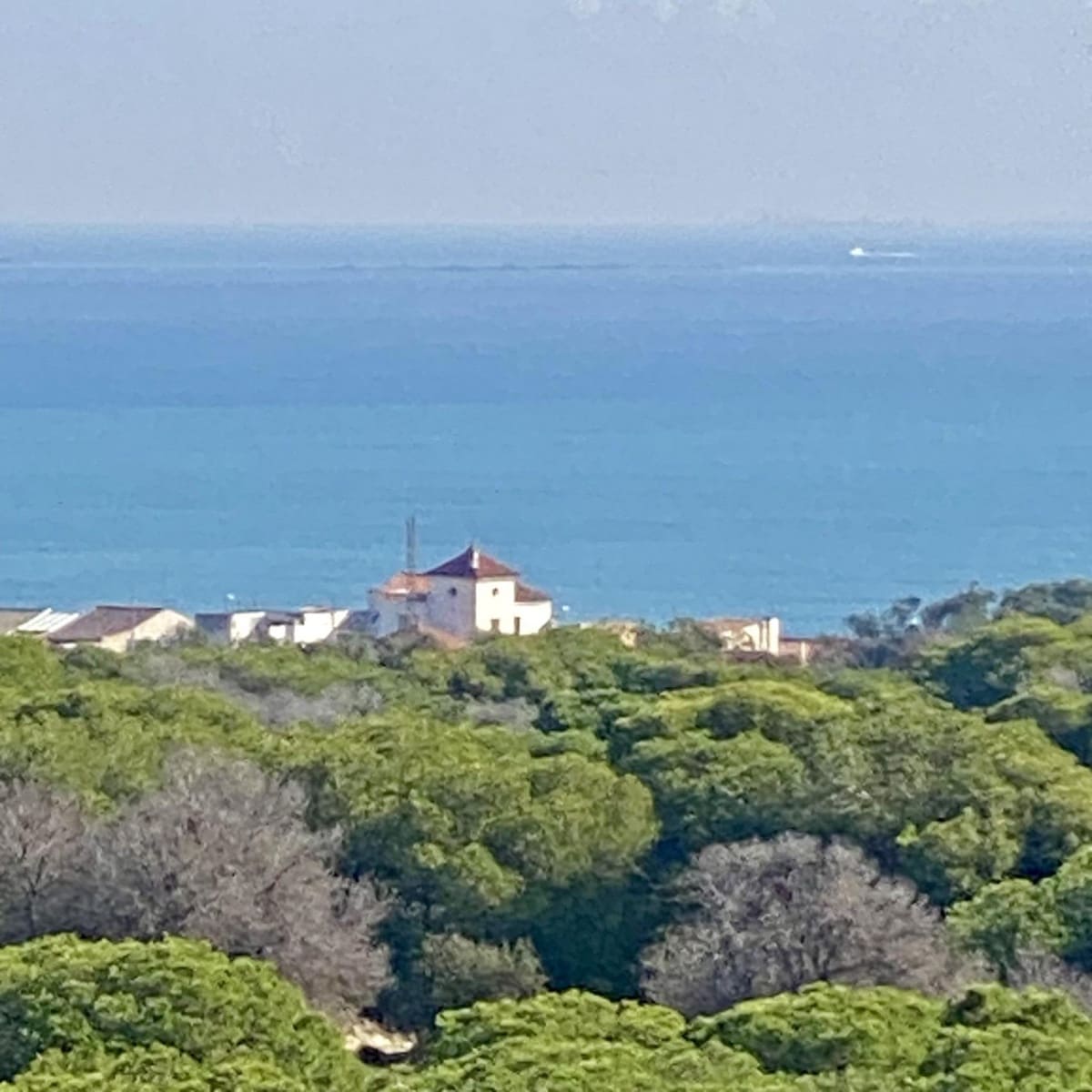 2 Zimmer Penthouse zu verkaufen in Guardamar del Segura - 555.000 € (Ref: 10099807)