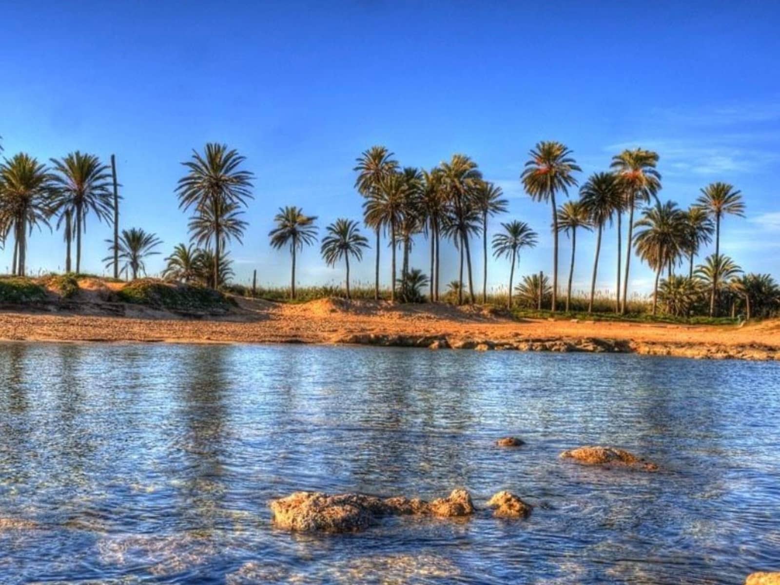 3 makuuhuone Kattohuoneisto myytävänä paikassa Torrevieja mukana uima-altaan - 464 000 € (Ref: 9820121)
