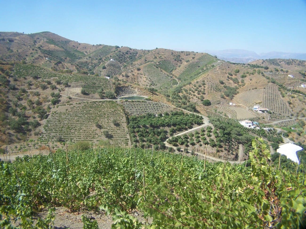 5 soveværelse Finca/Landehus til salg i Iznate - € 349.000 (Ref: 5295627)