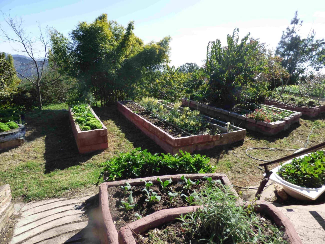 5 sypialnia Finka/Dom wiejski na sprzedaż w Nerja z basenem - 1 250 000 € (Ref: 8093945)