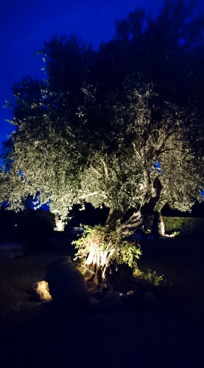 4 makuuhuone Huvila myytävänä paikassa Javea / Xabia mukana uima-altaan - 3 500 000 € (Ref: 8543934)