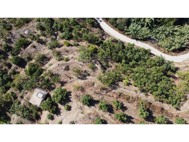 Grunde uden byggetilladelser til salg i Sayalonga - € 170.000 (Ref: 8665777)