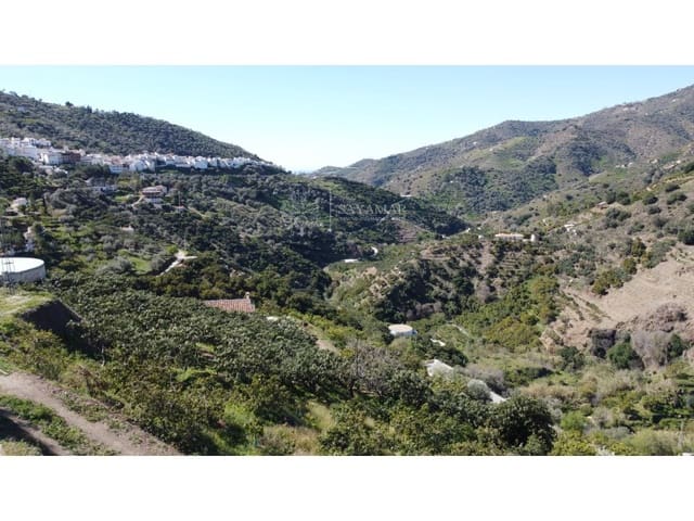 Mark till salu i Sayalonga - 170 000 € (Ref: 8665777)