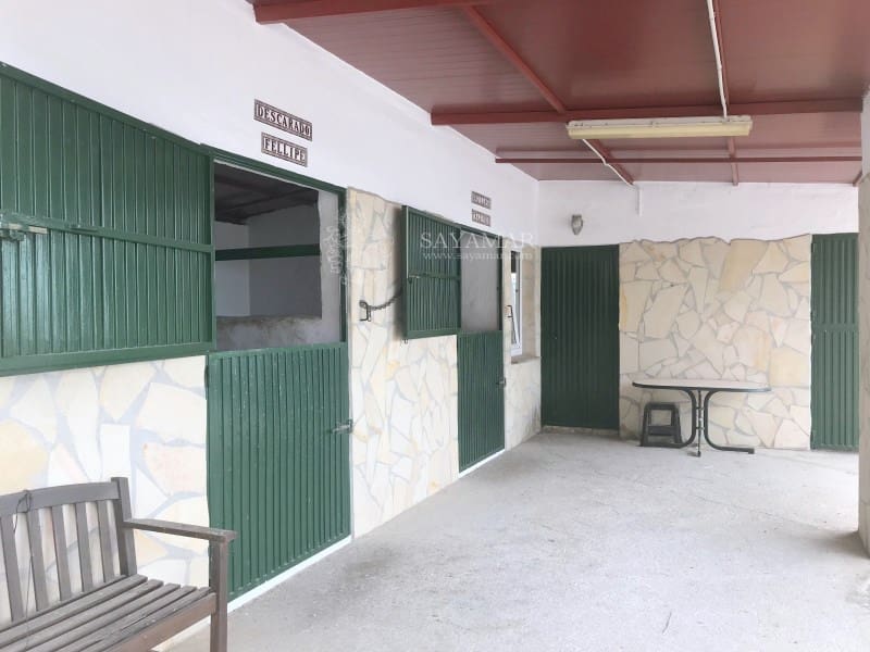 4 soverom Villa til salgs i Sayalonga med garasje - € 1 350 000 (Ref: 8665802)