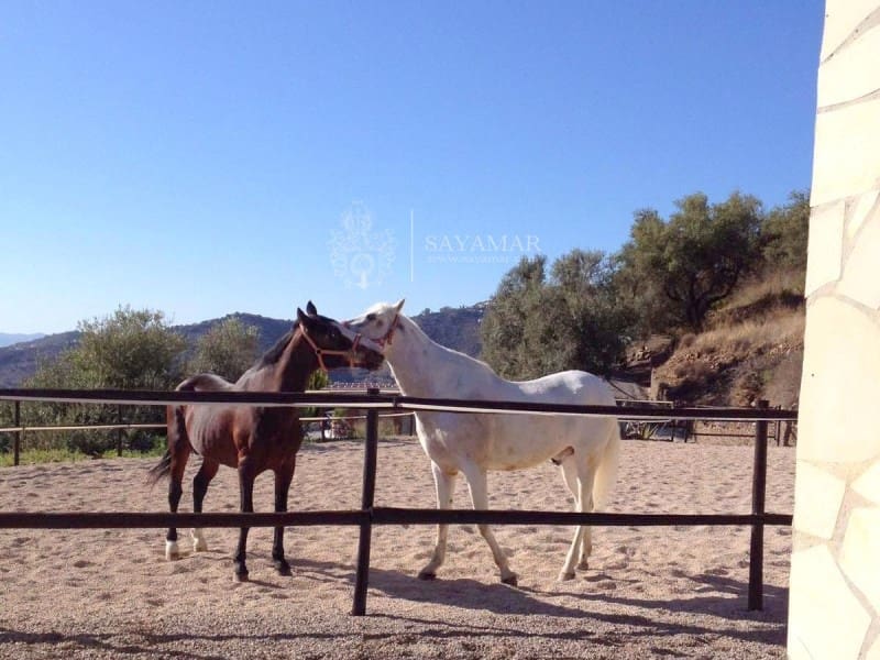 4 soverom Villa til salgs i Sayalonga med garasje - € 1 350 000 (Ref: 8665802)