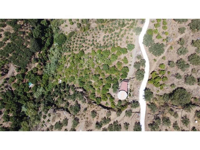 Mark till salu i Sayalonga - 300 000 € (Ref: 8685258)