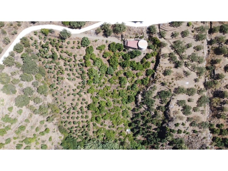 Rakentamaton maa myytävänä paikassa Sayalonga - 300 000 € (Ref: 8685258)