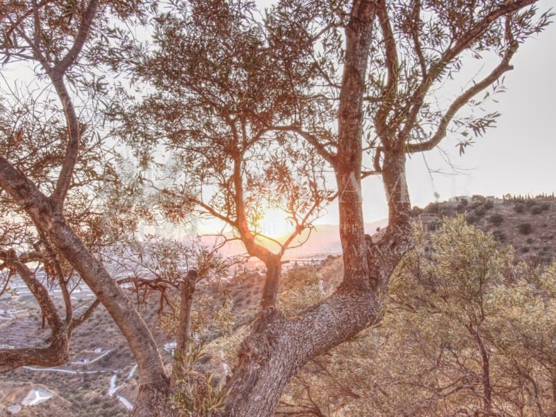 2 soveværelse Villa til salg i Sayalonga - € 365.000 (Ref: 8780396)