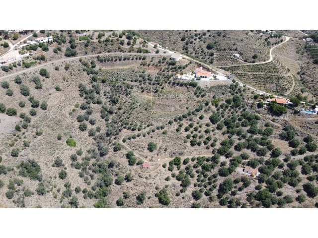 Undeveloped Land for sale in Sayalonga - € 20,000 (Ref: 8810308)
