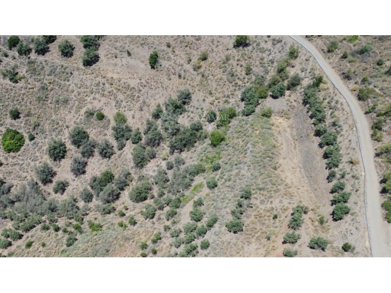 Grunde uden byggetilladelser til salg i Sayalonga - € 20.000 (Ref: 8810309)