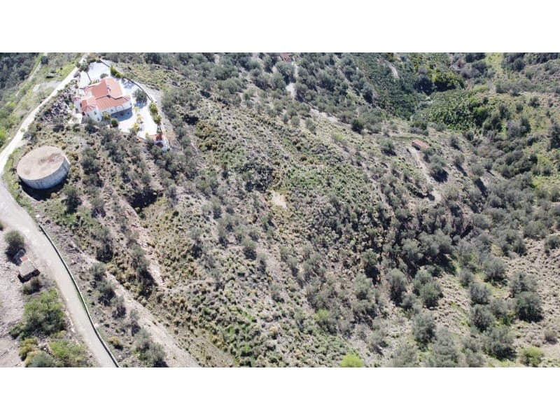 Grunde uden byggetilladelser til salg i Sayalonga - € 20.000 (Ref: 8810309)