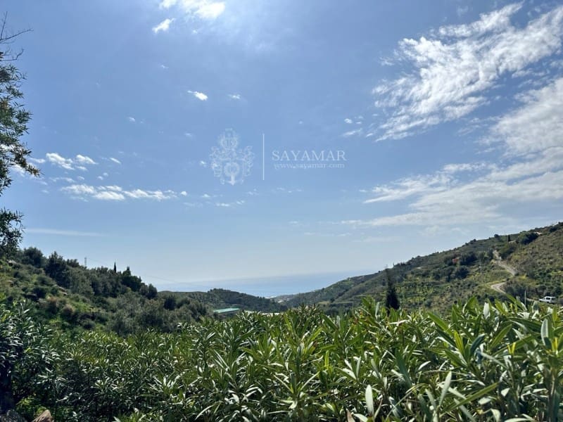 3 sypialnia Willa na sprzedaż w Sayalonga z basenem - 495 000 € (Ref: 8940538)