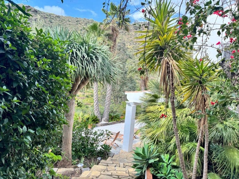 3 sypialnia Willa na sprzedaż w Sayalonga z basenem - 495 000 € (Ref: 8940538)