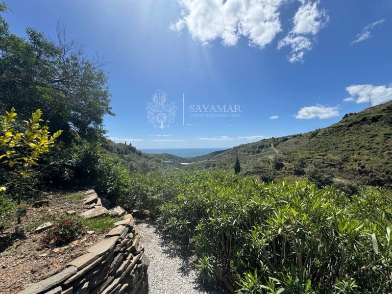 3 sypialnia Willa na sprzedaż w Sayalonga z basenem - 495 000 € (Ref: 8940538)