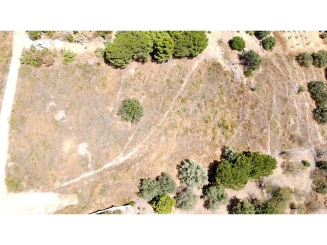 Undeveloped Land for sale in Sayalonga - € 60,000 (Ref: 9128597)