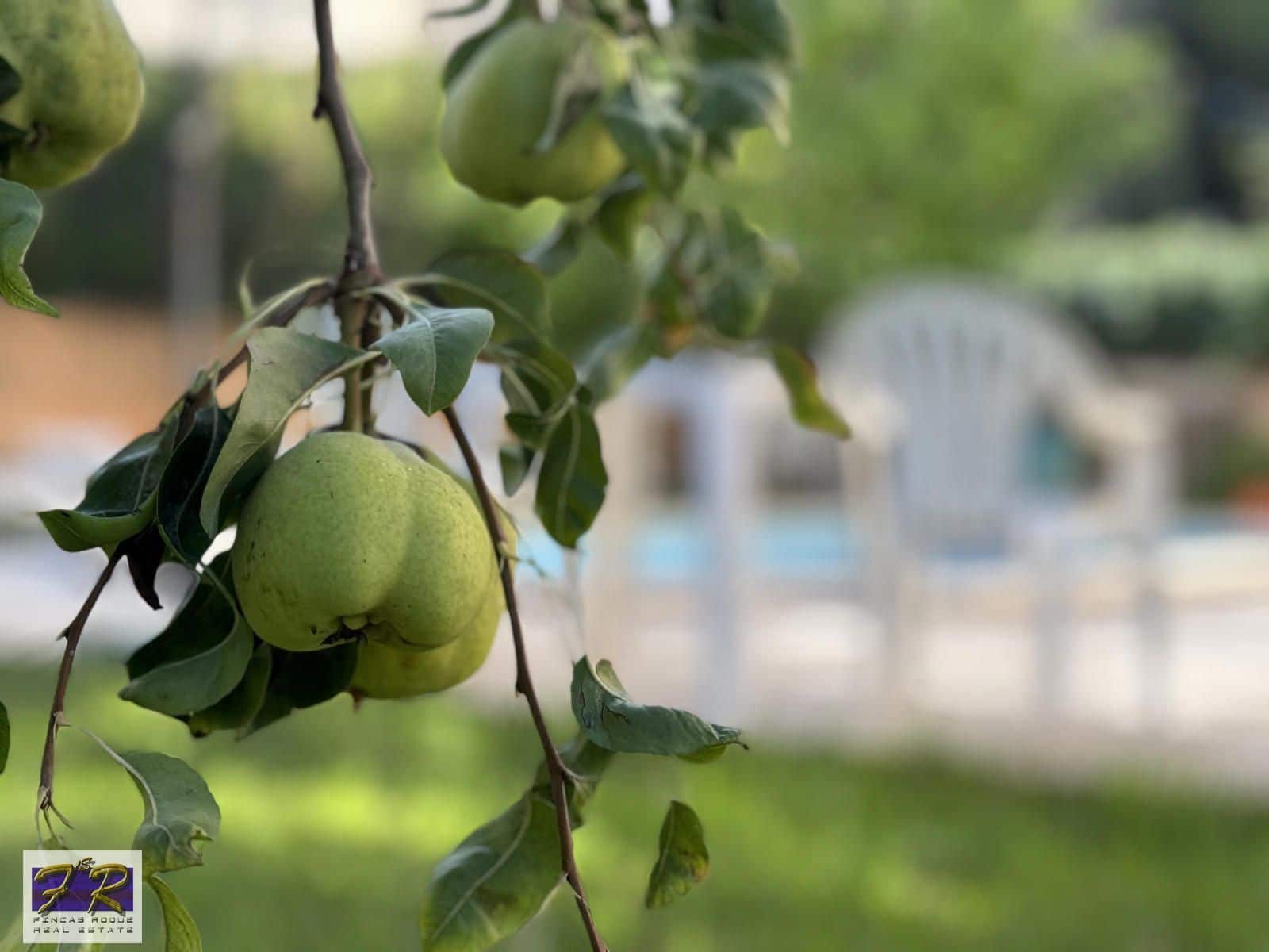 5 Zimmer Villa zu verkaufen in Alcudia mit Pool Garage - 950.000 € (Ref: 8580585)