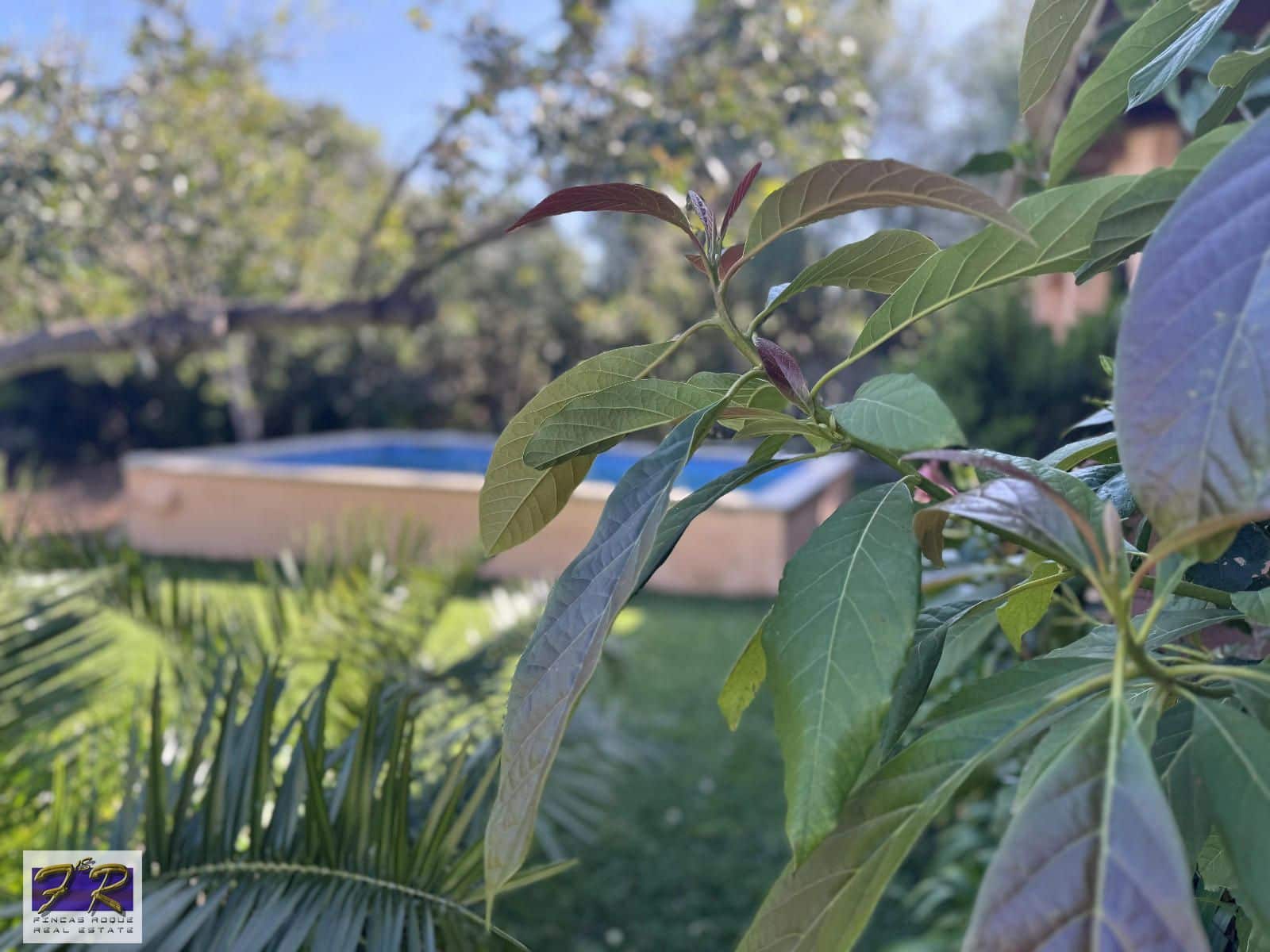 3 chambre Finca/Maison de Campagne à vendre à Pollensa / Pollenca avec piscine garage - 950 000 € (Ref: 8926147)