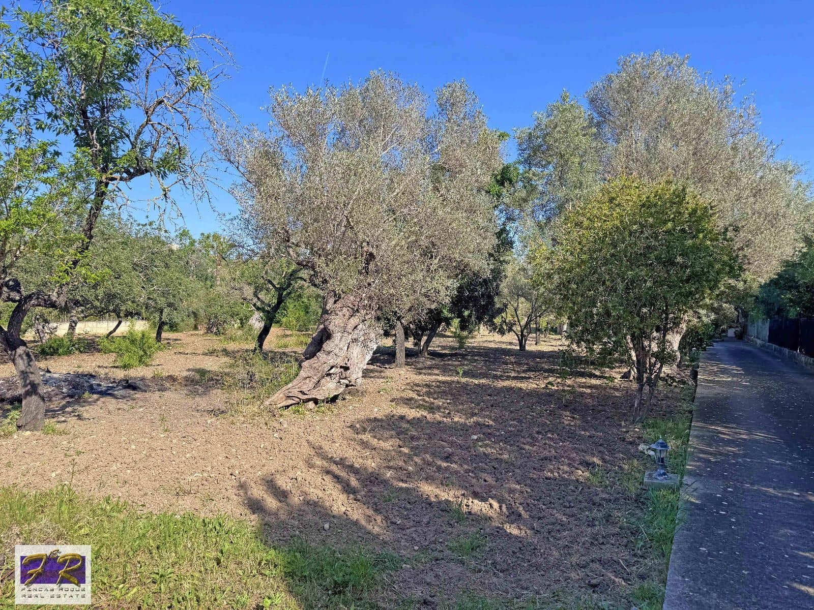 3 chambre Finca/Maison de Campagne à vendre à Pollensa / Pollenca avec piscine garage - 950 000 € (Ref: 8926147)