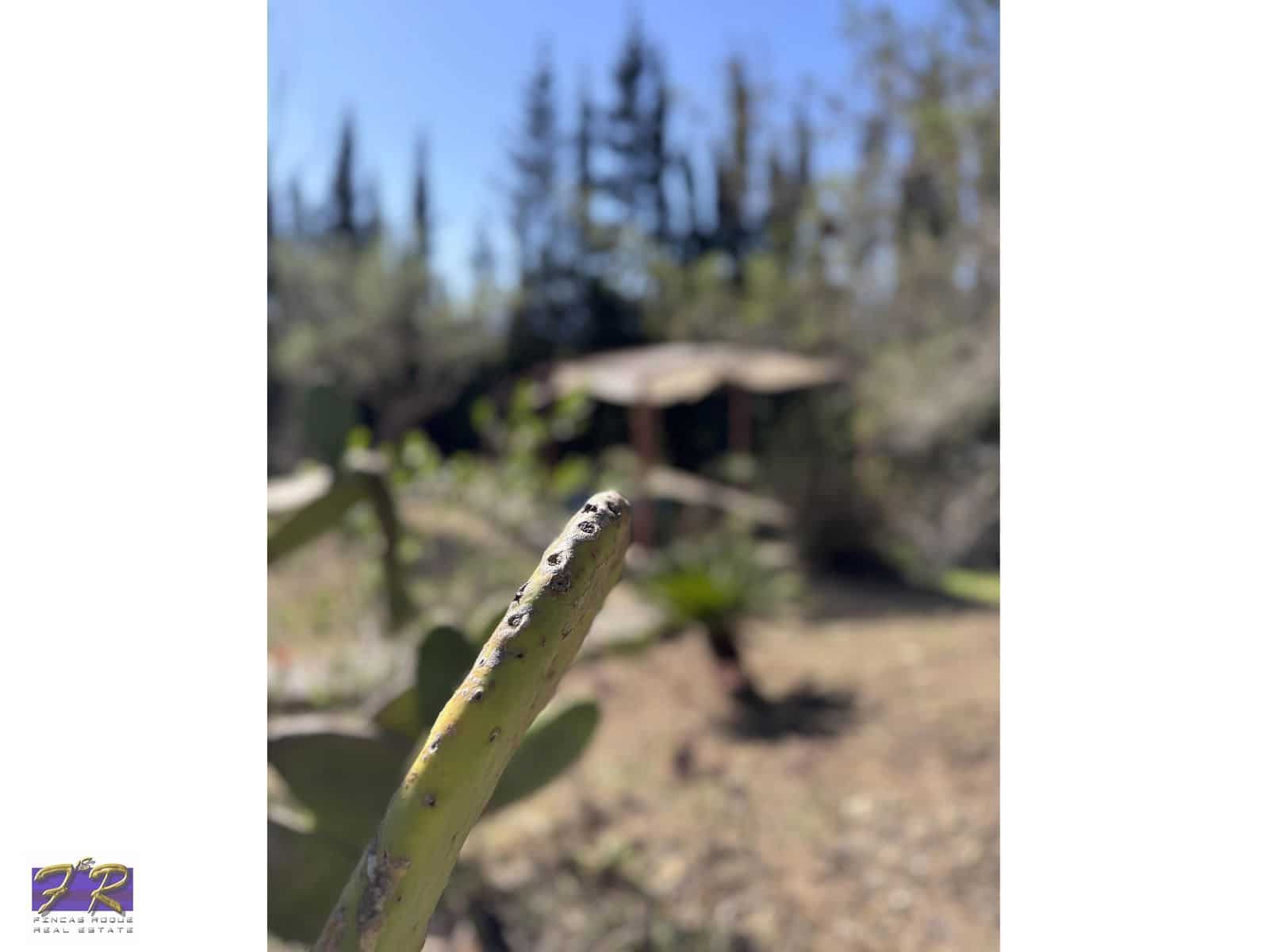 1 sypialnia Finka/Dom wiejski na sprzedaż w Buger z basenem garażem - 620 000 € (Ref: 9231865)