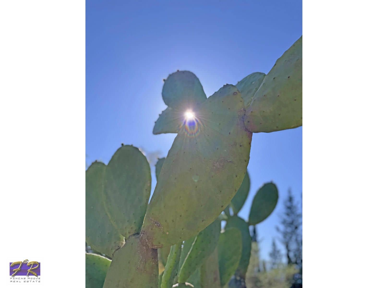 1 sypialnia Finka/Dom wiejski na sprzedaż w Buger z basenem garażem - 620 000 € (Ref: 9231865)